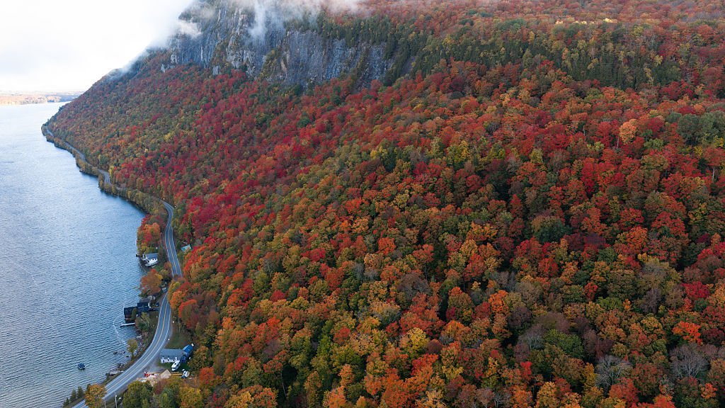 when-is-the-best-time-to-see-peak-fall-foliage?
