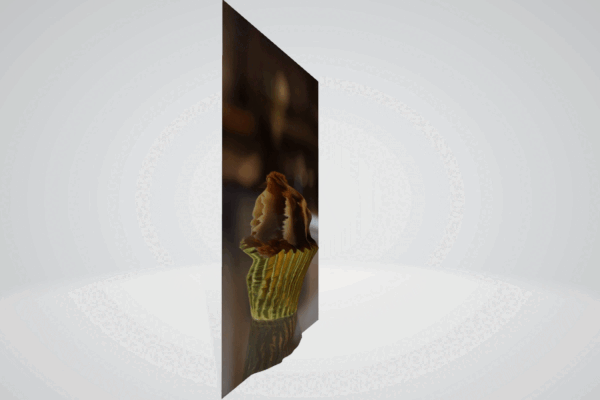 how-to-turn-your-canon-camera’s-images-into-3d-objects-and-videos-with-canon’s-free-dp3d-software